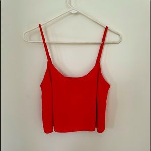 EXPRESS Crop Top